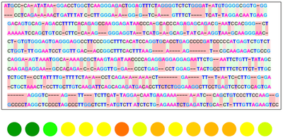 Implementing a Visualizer for DNA Sequence Alignments