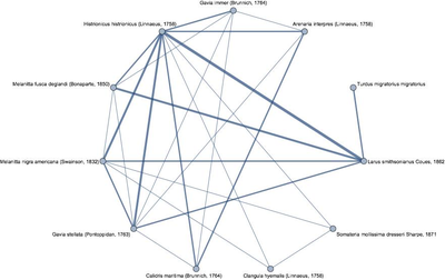 Generate Coexistence Graphs of Bird Species Using eBird Data