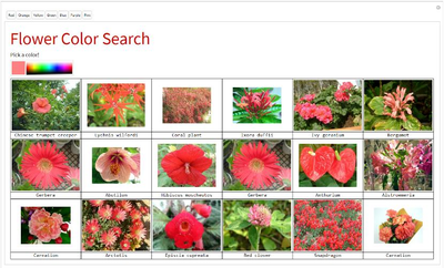 Selecting Flowers by Color