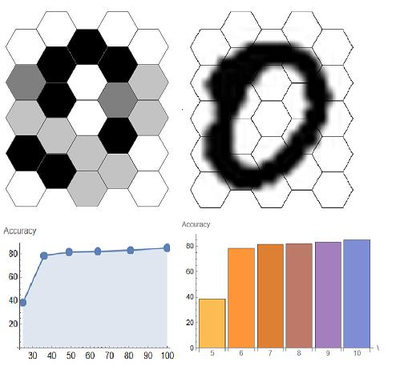 Number of Ommatidia Required by Fruit Flies to Read