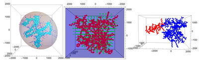 Distributions of Shape Parameters for Randomly Generated Amino Acid Sequences