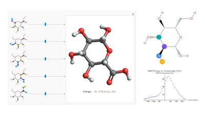 Analyzing Polysaccharide Bonding in Cryptococcus Neoformans